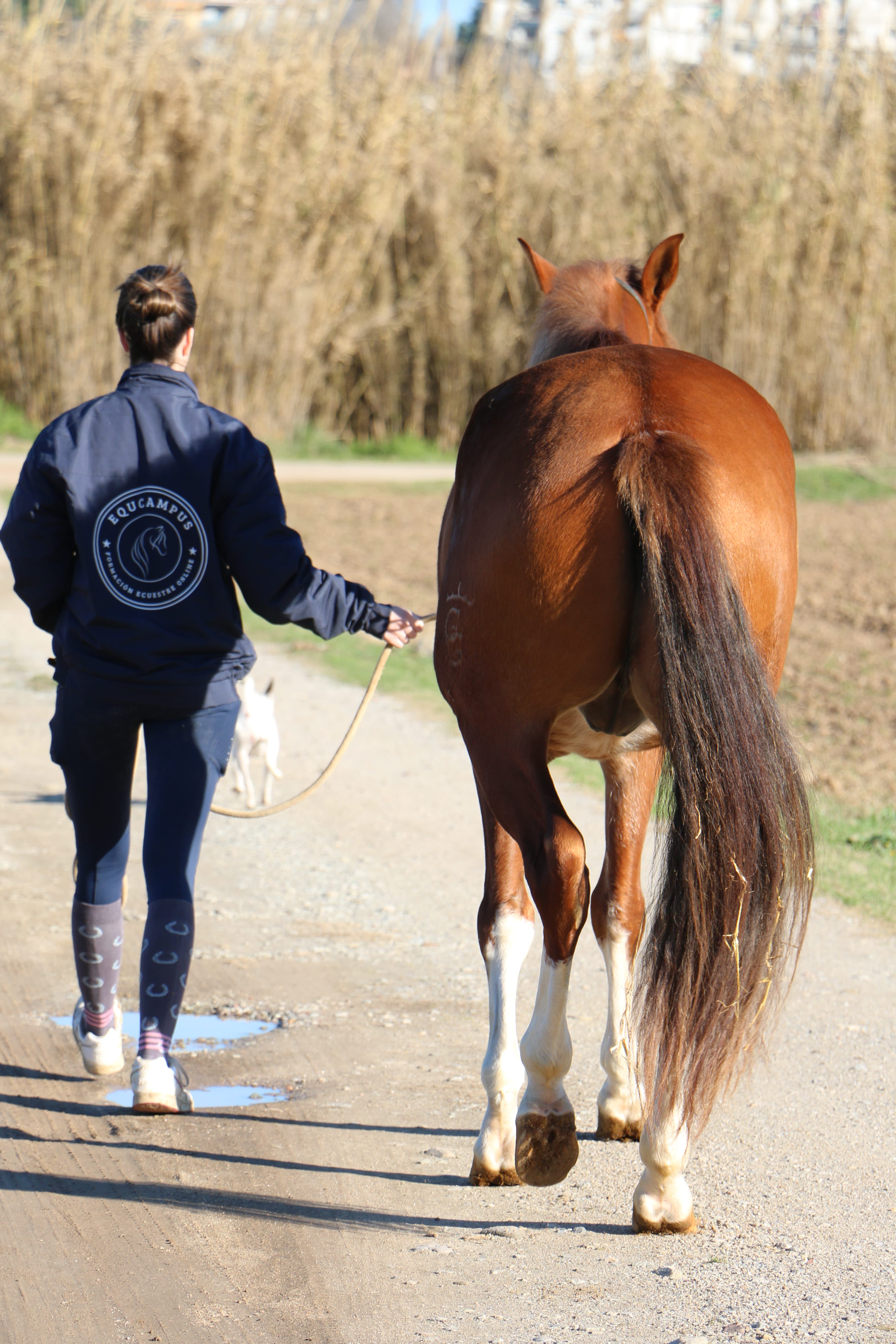 EQUCAMPUS
