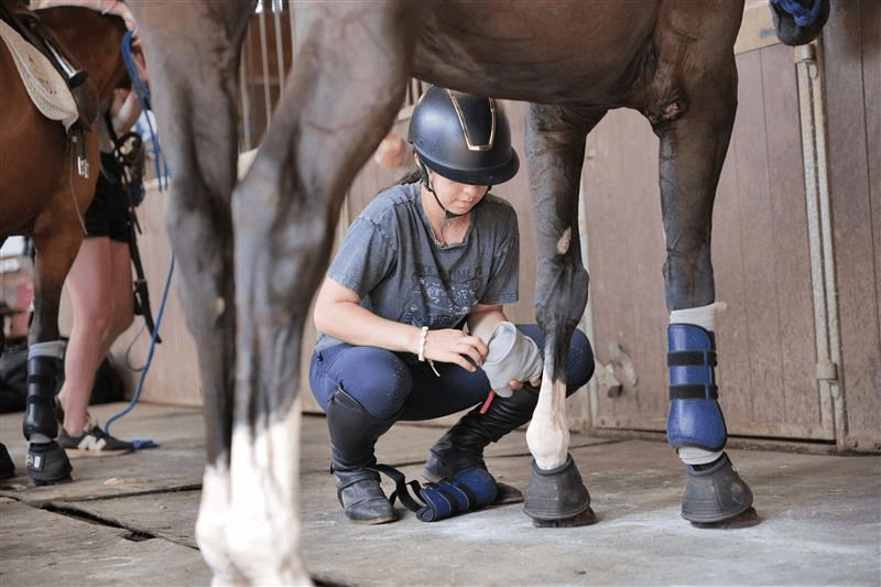 Jinete cuidando su caballo en Reino Unido